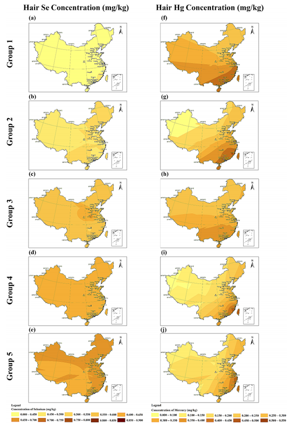 根据硒补充时间分类的中国不同组头发（a-e）硒和（f-j）汞浓度的空间分布.png